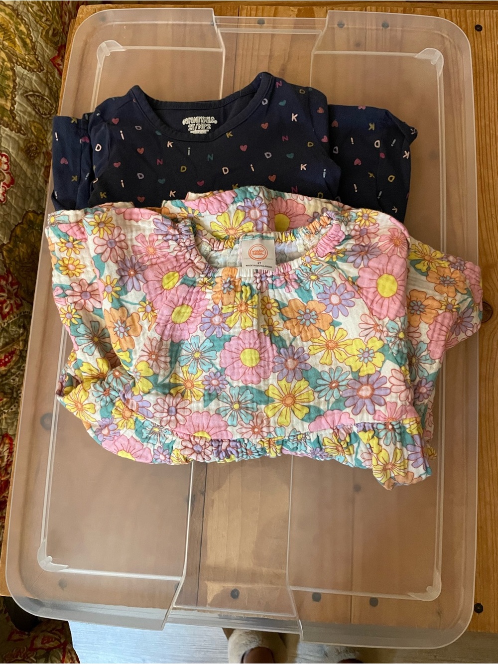 Toddler Girl Dress Bundle (2T)